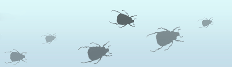 Уничтожение тараканов, дезинсекция